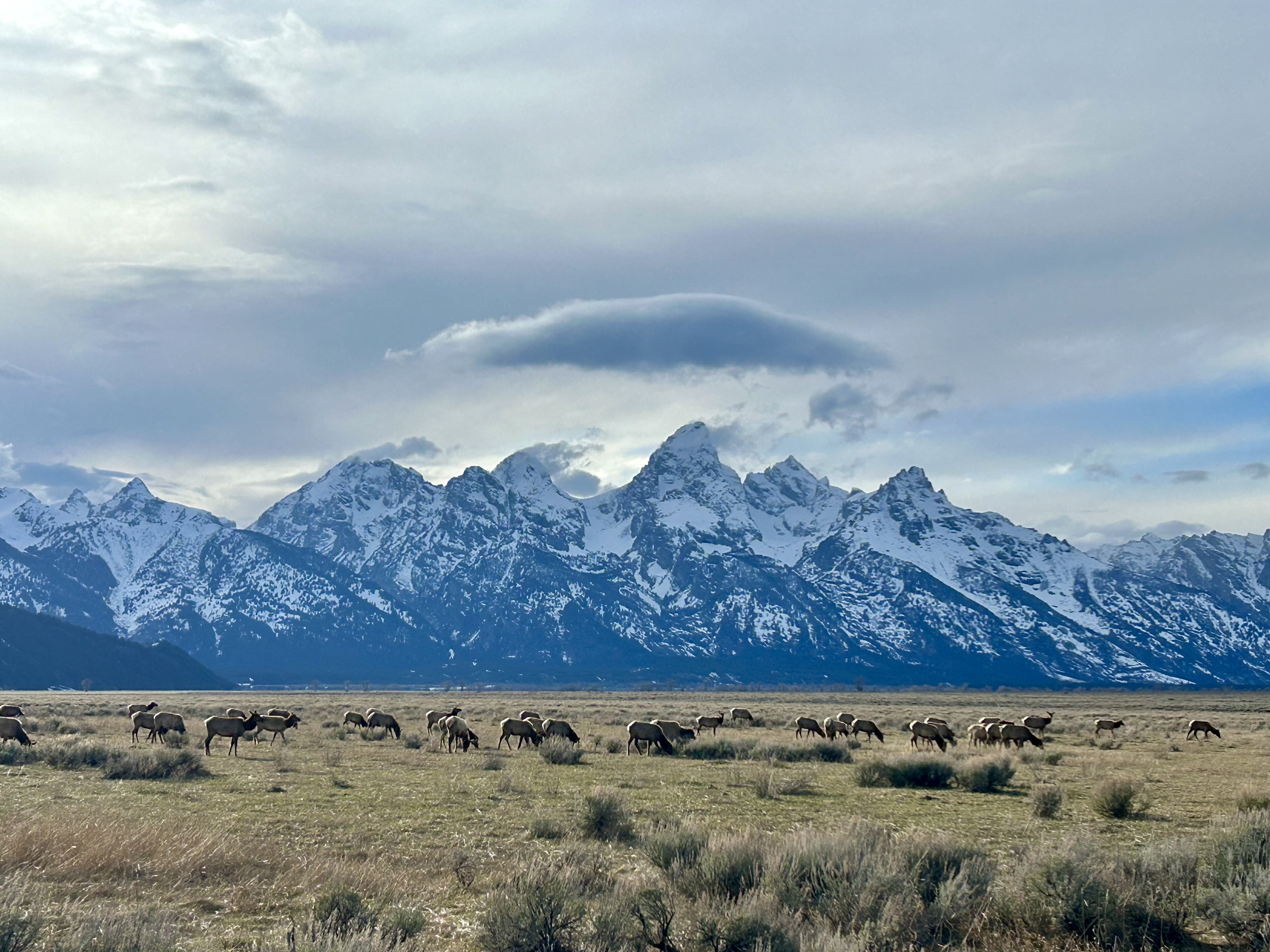 Grand Teton
